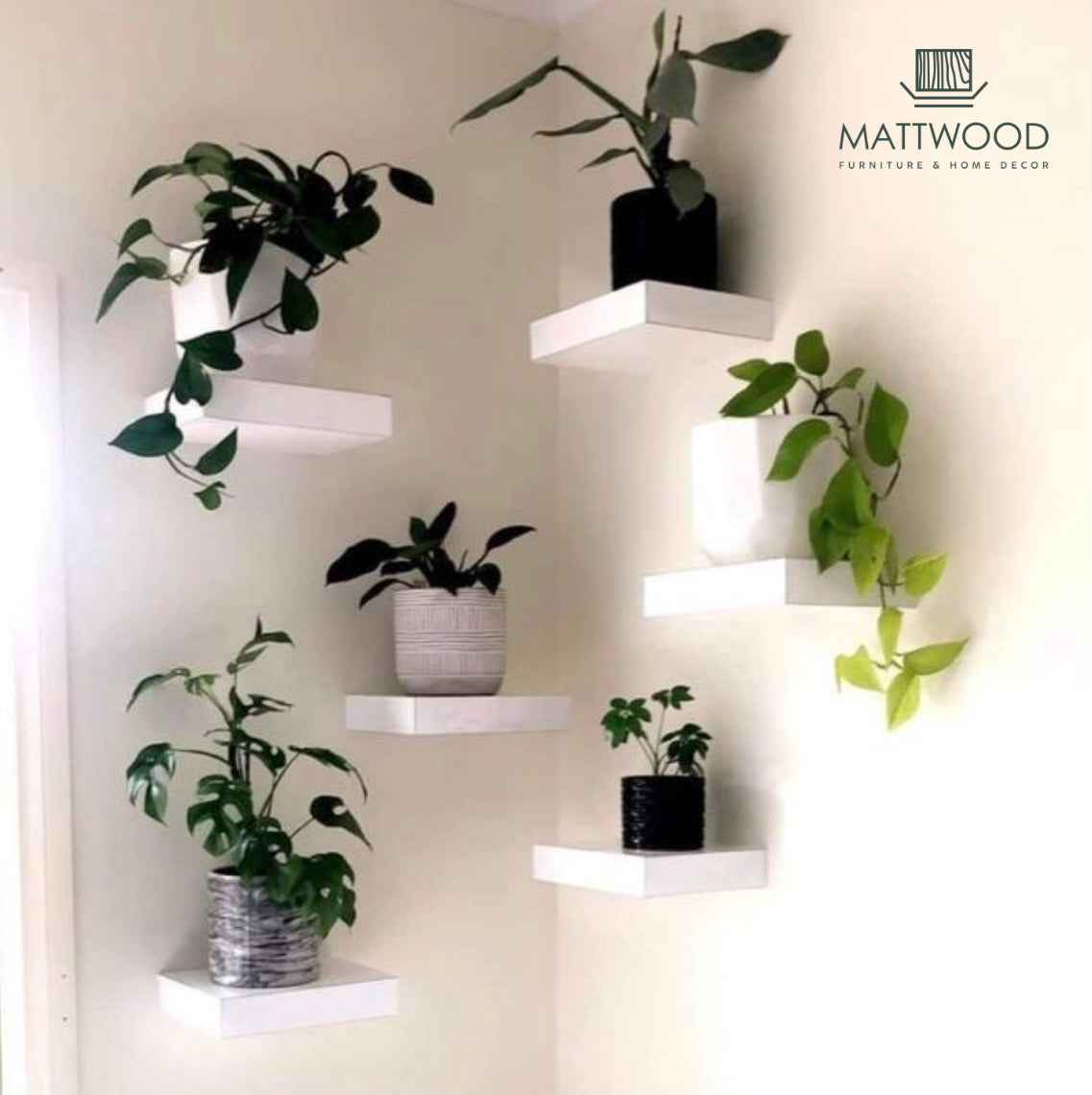 Six square wall shelves