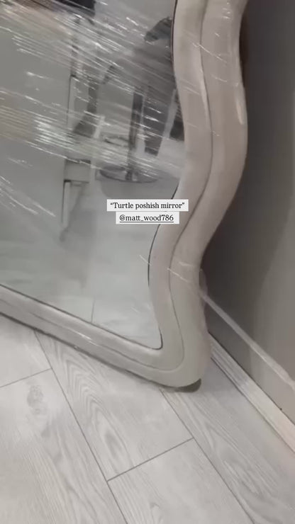 Turtle mirror